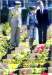 Oorlogsgravenstichting jaarverslag 2004 